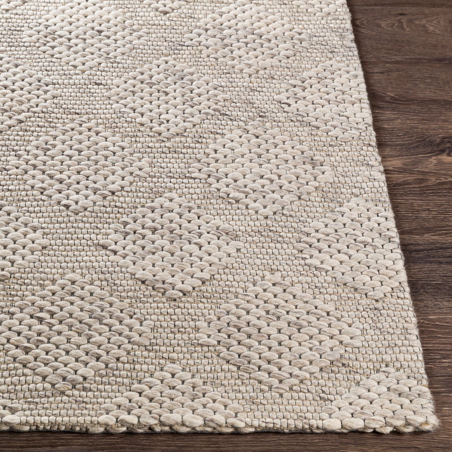 Colarado CDO-2301 2' x 3' Handmade Wool Accent Rug