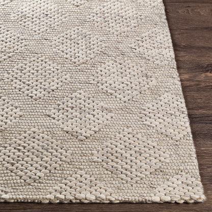 Colarado CDO-2301 2' x 3' Handmade Wool Accent Rug