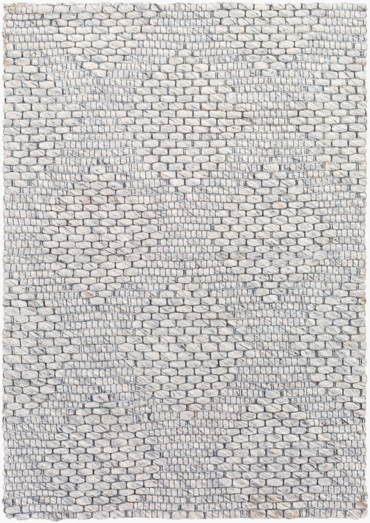Colarado CDO-2302 2' x 3' Handmade Wool Accent Rug