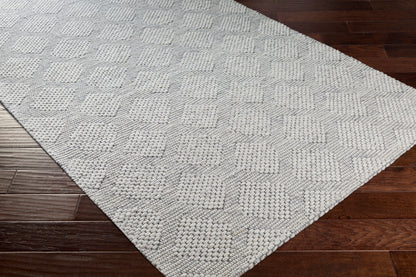 Colarado CDO-2302 2' x 3' Handmade Wool Accent Rug