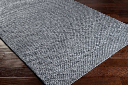 Colarado CDO-2306 2' x 3' Handmade Wool Accent Rug