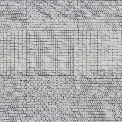 Alfombra de lana hecha a mano Colarado CDO-2309 de 9' x 12'