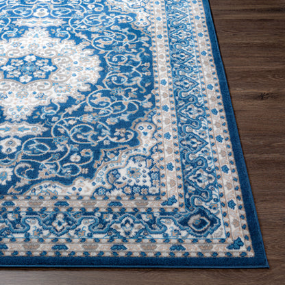 Cesar CEG-2317 9' x 12' Machine Woven Area Rug