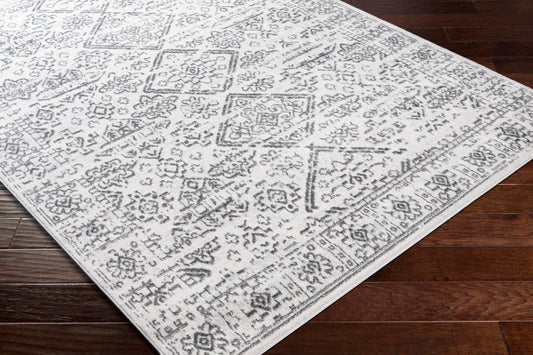 Cesar CEG-2332 5' x 7' Machine Woven Area Rug