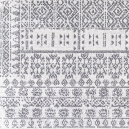 Cesar CEG-2336 5' x 7' Machine Woven Area Rug
