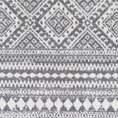Cesar CEG-2337 6' x 9' Machine Woven Area Rug