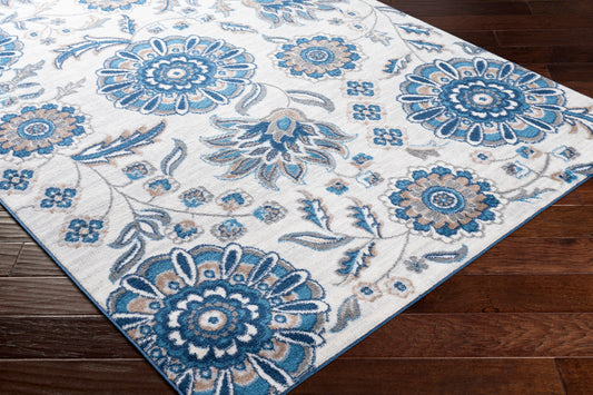 Cesar CEG-2360 5' x 7' Machine Woven Area Rug