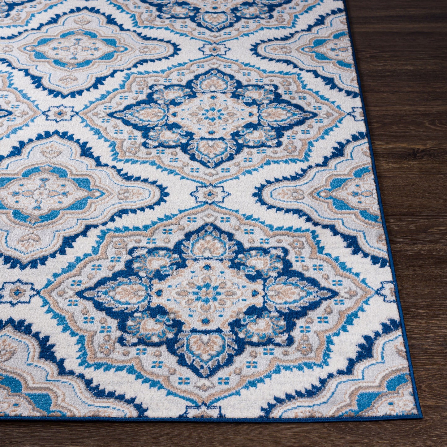 Cesar CEG-2362 6' x 9' Machine Woven Area Rug