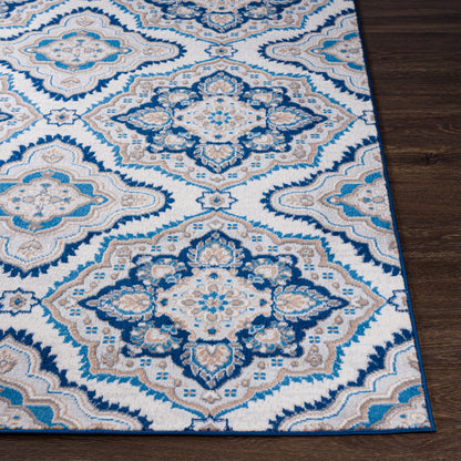 Cesar CEG-2362 6' x 9' Machine Woven Area Rug