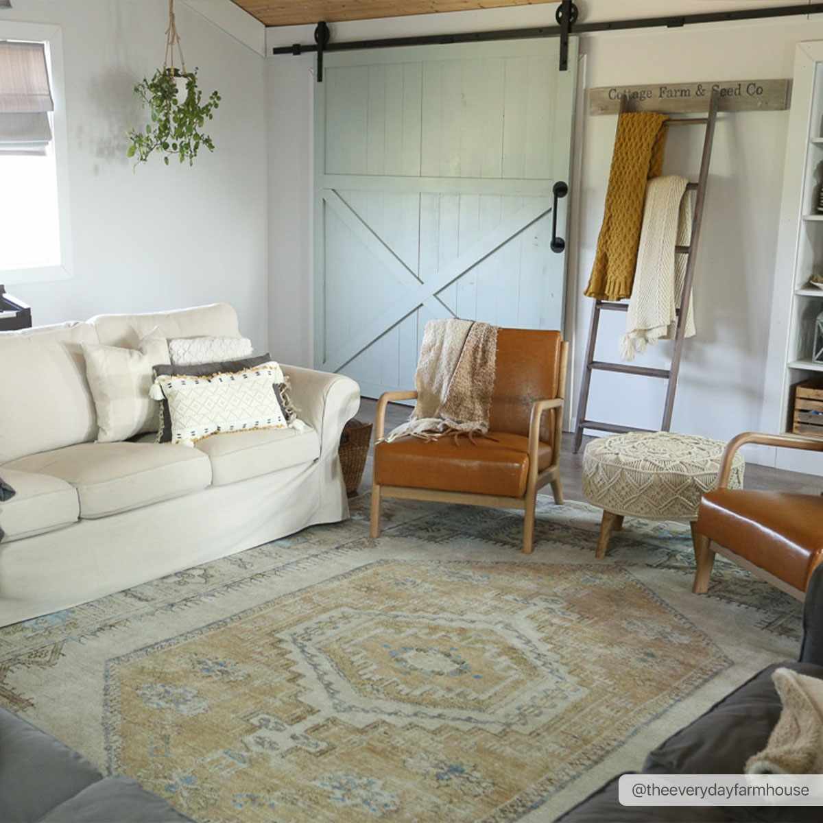 Amelie AML-2369 Machine Woven Rug