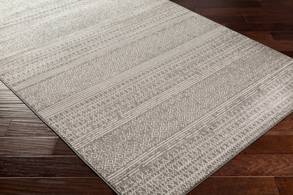 Alfombra tejida a máquina Chester CHE-2304 de 6' x 9'
