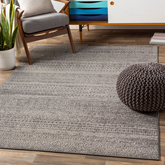 Chester CHE-2304 5' x 7' Machine Woven Area Rug