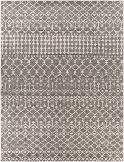 Chester CHE-2321 8' x 10' Machine Woven Area Rug
