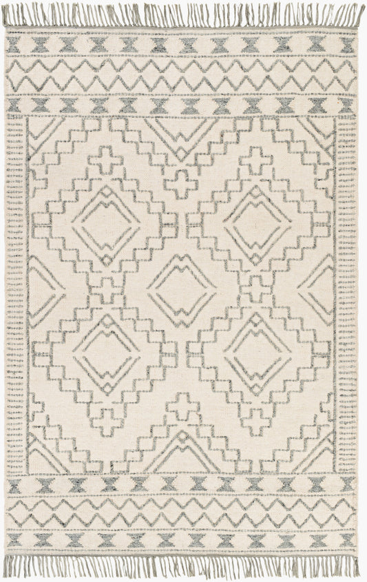 Cheyenne CHY-2303 4' x 6' Handmade Area Rug