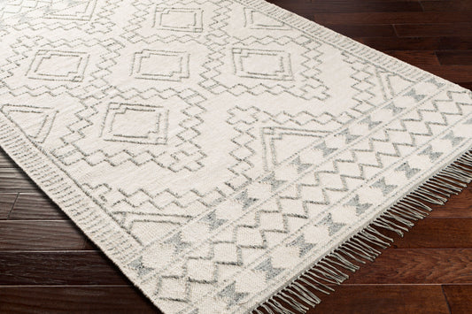Cheyenne CHY-2303 4' x 6' Handmade Area Rug