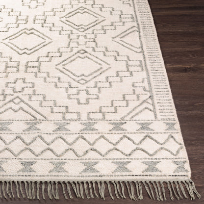 Cheyenne CHY-2303 4' x 6' Handmade Area Rug