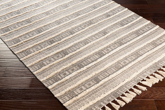 Calisa CLC-2300 2' x 4' Handmade Accent Rug