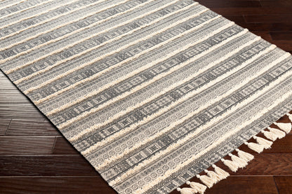 Calisa CLC-2302 8' x 10' Handmade Area Rug