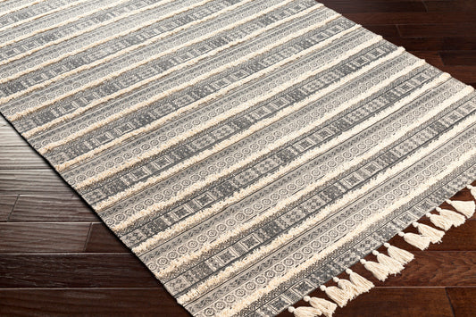 Calisa CLC-2302 2' x 4' Handmade Accent Rug