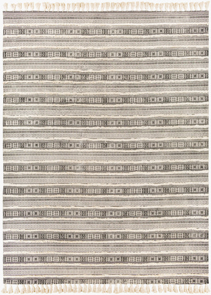 Calisa CLC-2302 2' x 4' Handmade Accent Rug