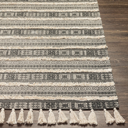 Calisa CLC-2302 8' x 10' Handmade Area Rug