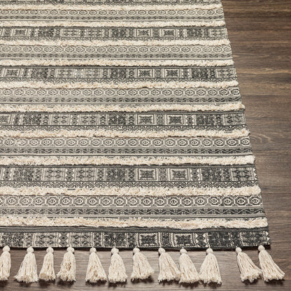 Calisa CLC-2302 2' x 4' Handmade Accent Rug