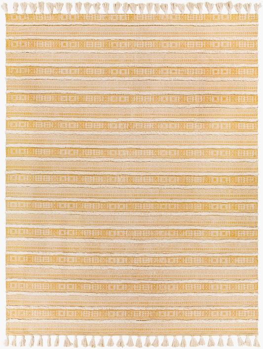 Calisa CLC-2303 Hand Loomed Rug