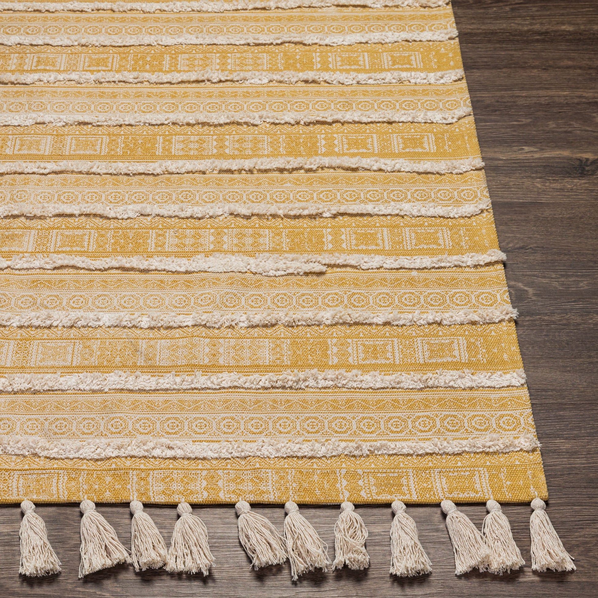 Calisa CLC-2303 Hand Loomed Rug