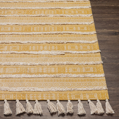 Calisa CLC-2303 Hand Loomed Rug