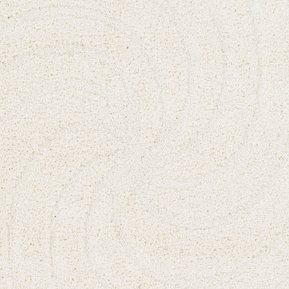 Alfombra decorativa tejida a máquina Cut &amp; Loop Shag CLG-2301 de 2' x 3'