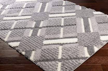 Alfombra decorativa tejida a máquina Cut &amp; Loop Shag CLG-2310 de 2' x 3'