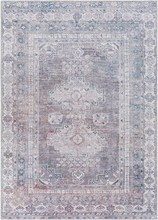 Colin CLN-2304 5' x 7' Machine Woven Washable Area Rug