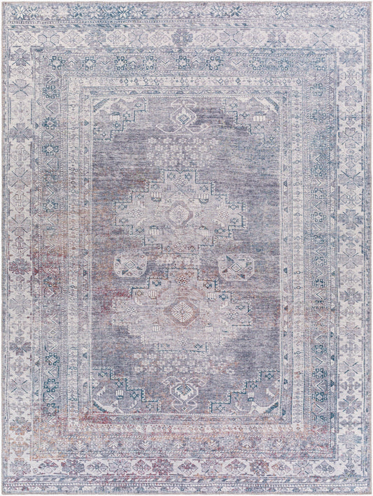 Colin CLN-2304 8' x 10' Machine Woven Washable Area Rug