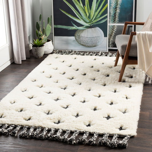Camille CME-2300 2' x 3' Handmade Wool Accent Rug