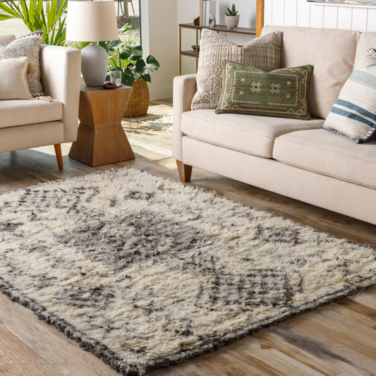 Camille CME-2301 2' x 3' Handmade Wool Accent Rug