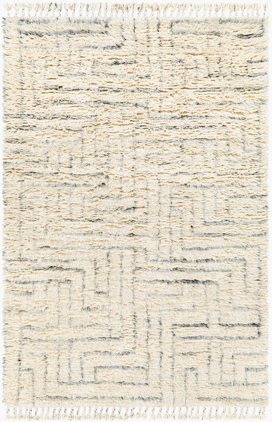 Camille CME-2302 2' x 3' Handmade Wool Accent Rug