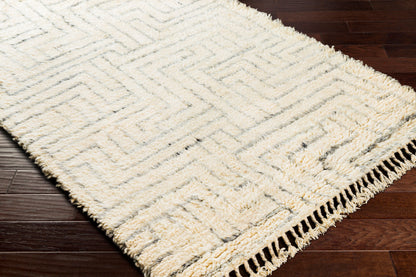 Camille CME-2302 2' x 3' Handmade Wool Accent Rug