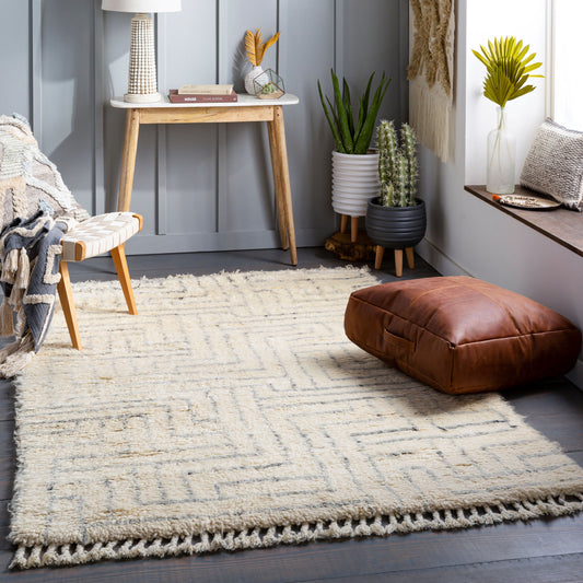 Camille CME-2302 2' x 3' Handmade Wool Accent Rug