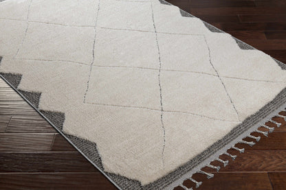 Sousse SUS-2304 Machine Woven Rug