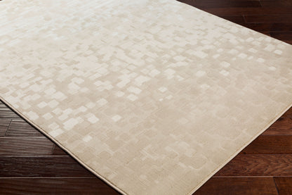 Contempo CPO-3841 8' x 10' Machine Woven Area Rug