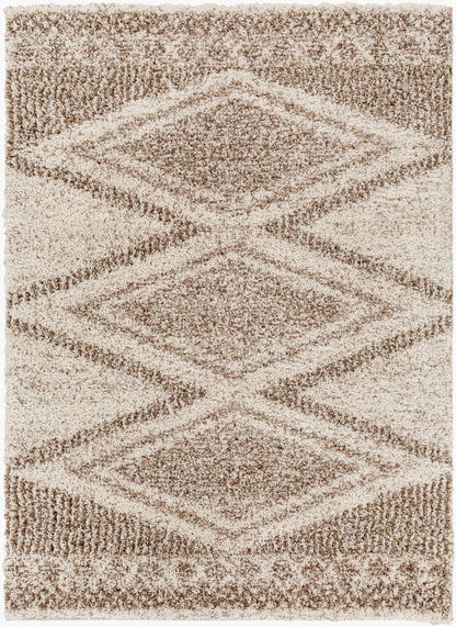 Capella Shag CPS-2303 5' x 7' Machine Woven Area Rug