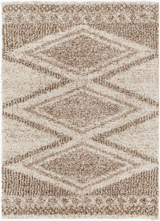 Capella Shag CPS-2303 5' x 7' Machine Woven Area Rug