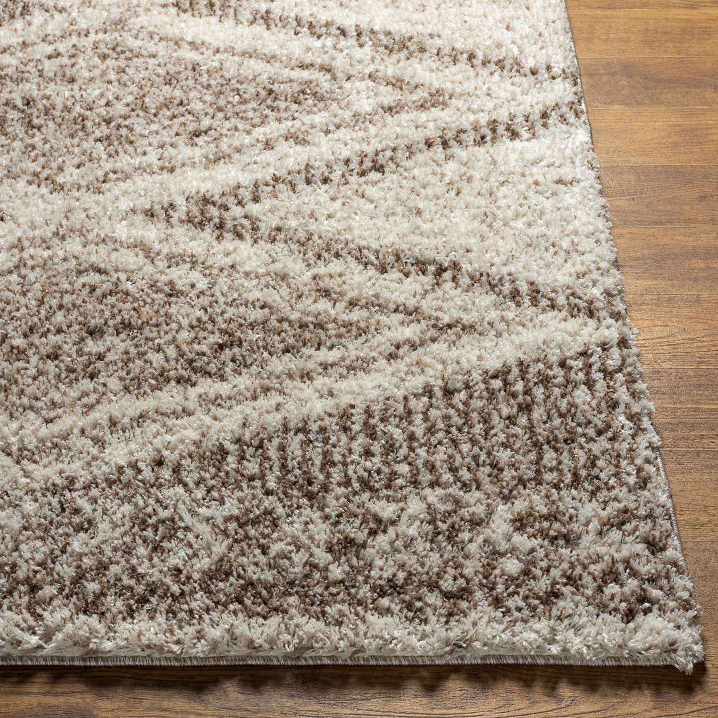Capella Shag CPS-2303 5' x 7' Machine Woven Area Rug