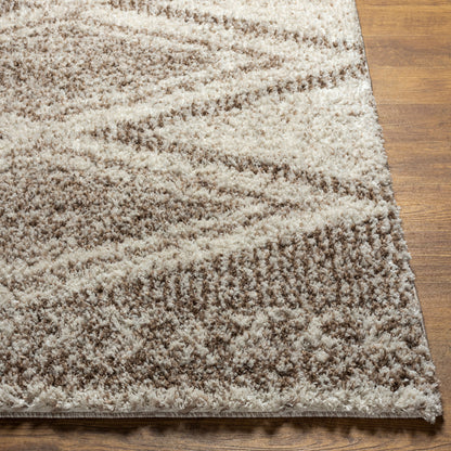 Capella Shag CPS-2303 5' x 7' Machine Woven Area Rug