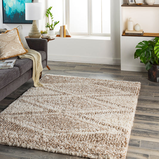 Capella Shag CPS-2303 5' x 7' Machine Woven Area Rug