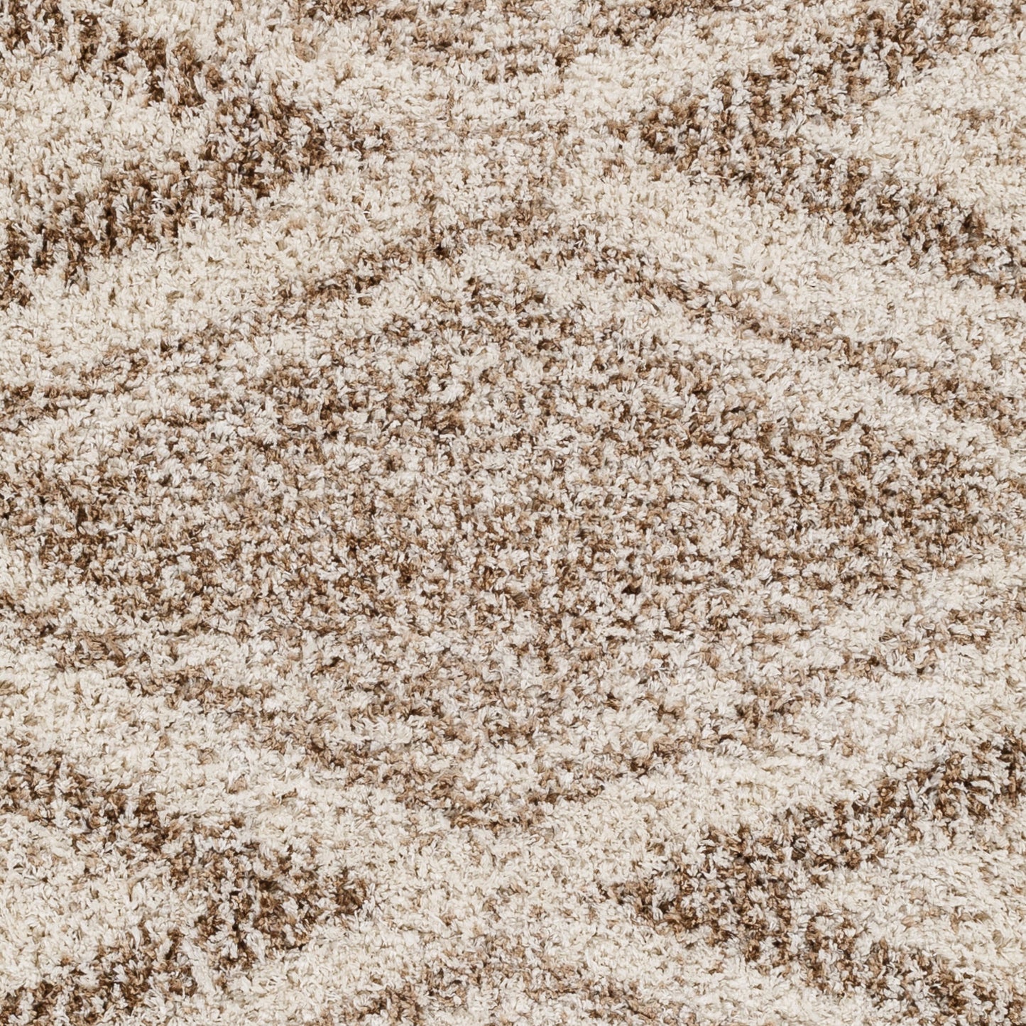 Capella Shag CPS-2303 5' x 7' Machine Woven Area Rug