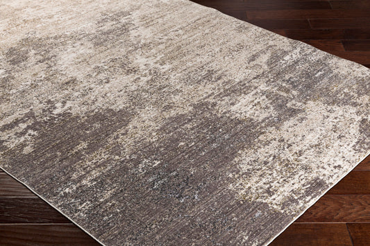 Alfombra decorativa tejida a máquina Crescendo CRC-1009 de 2' x 3'