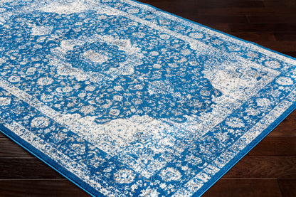 Alfombra decorativa tejida a máquina Chelsea CSA-2302 de 2' x 3'