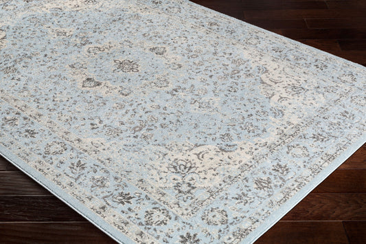 Alfombra decorativa tejida a máquina Chelsea CSA-2303 de 2' x 3'