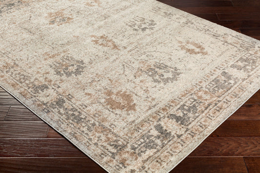 Alfombra decorativa tejida a máquina Chelsea CSA-2323 de 2' x 3'